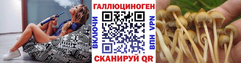 Галлюциногенные грибы мицелий  Купить закладки  Белгород 