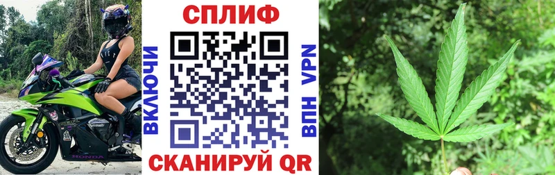 Купить где  Белгород  Марихуана MAZAR 